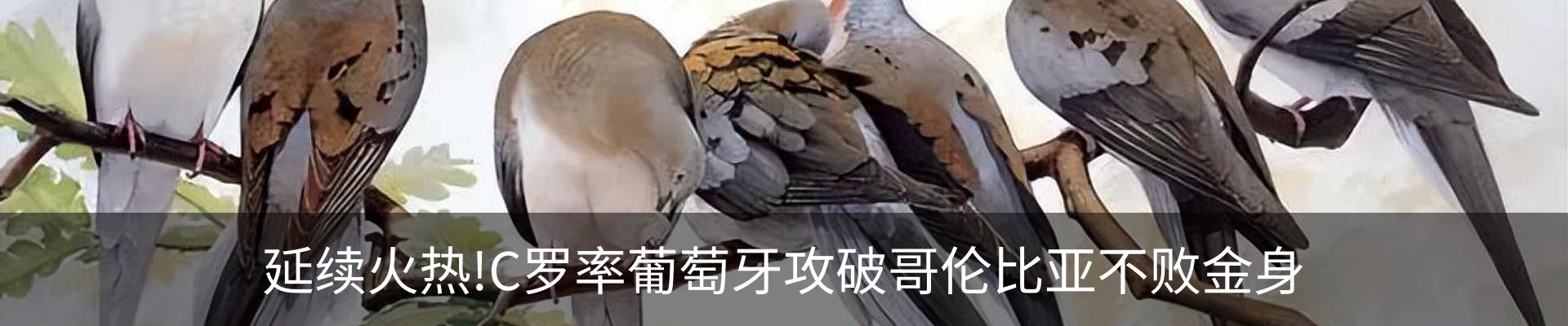行业资讯
